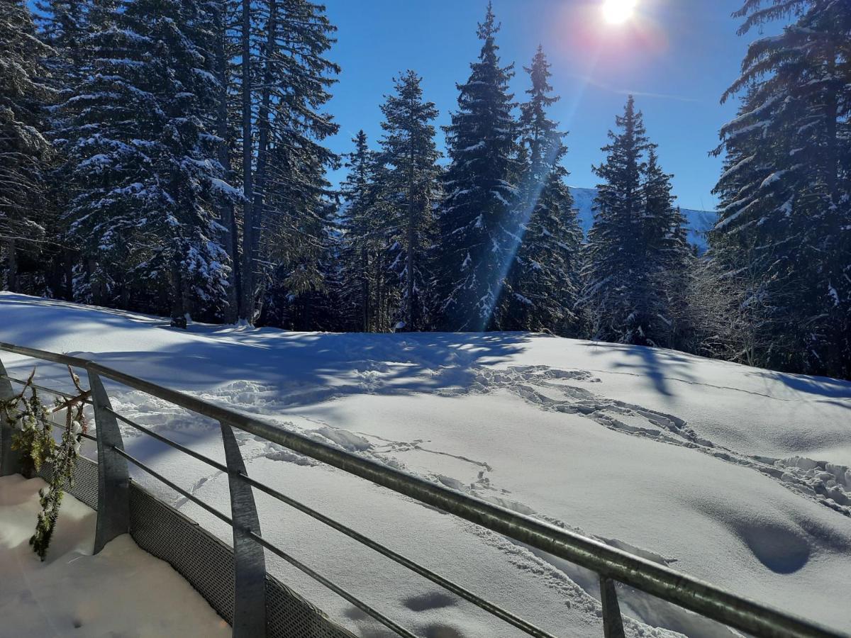 La Petite Foret Chamrousse 1700 Exterior photo