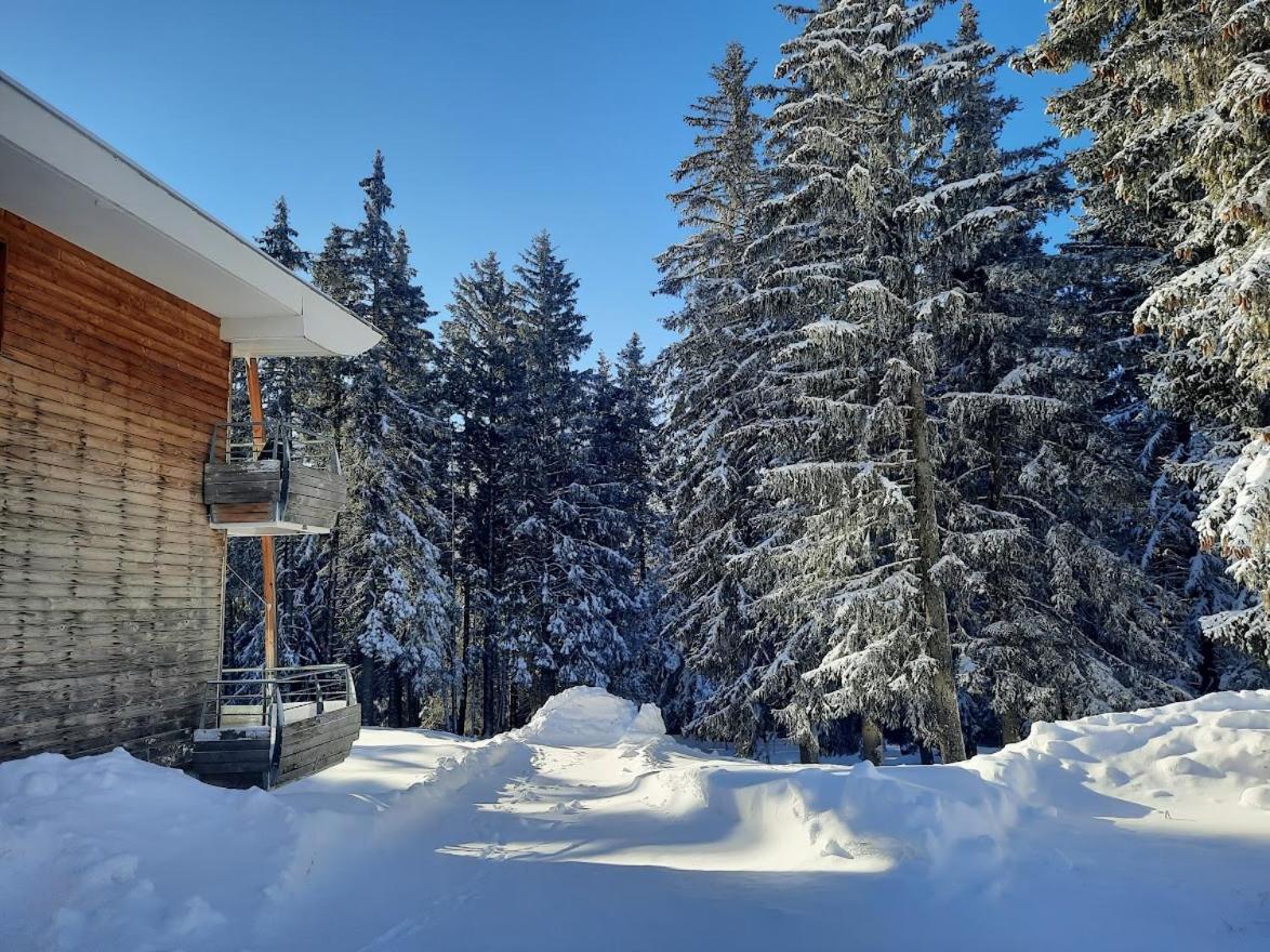 La Petite Foret Chamrousse 1700 Exterior photo